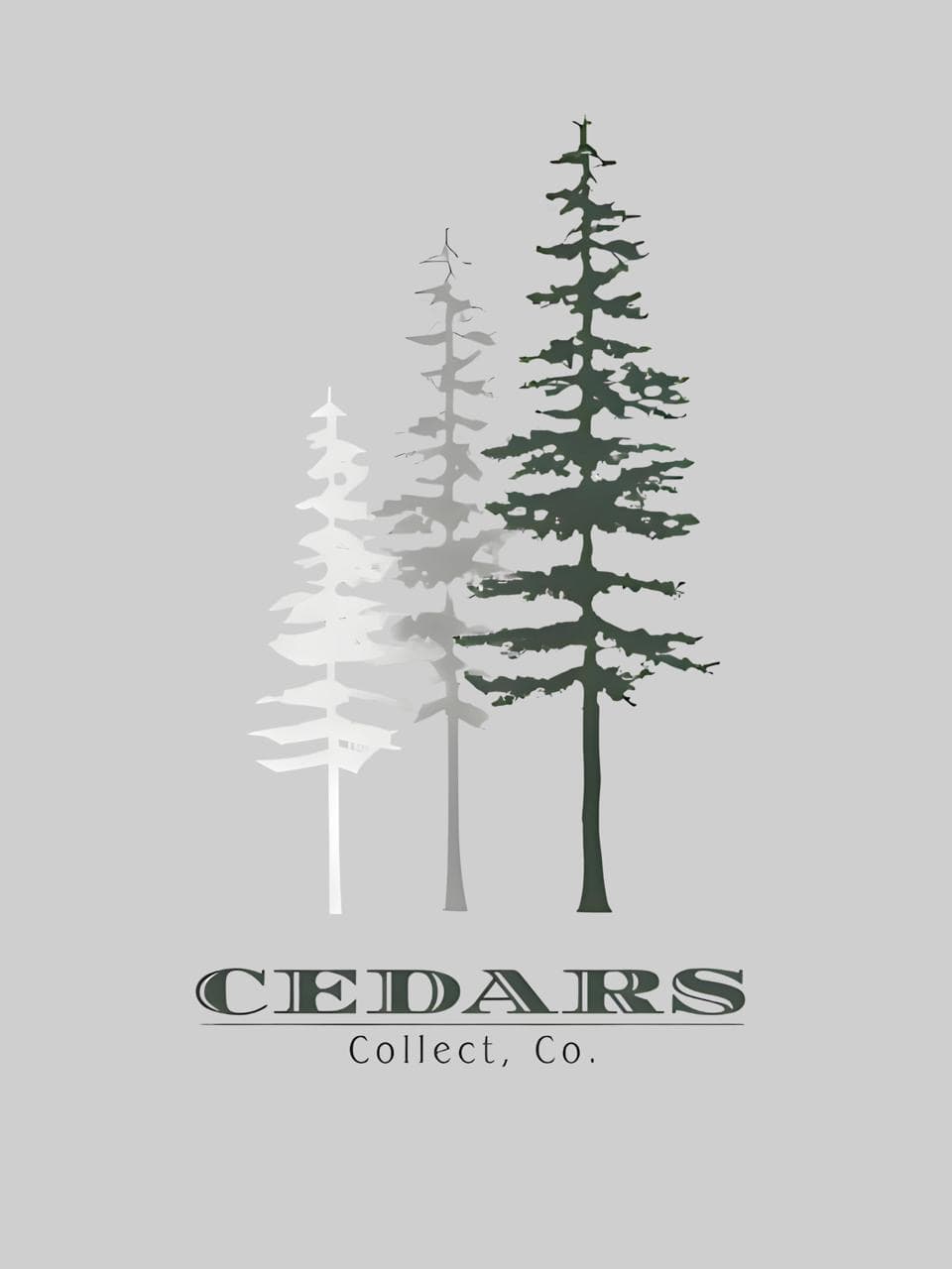 Operations and compliance support